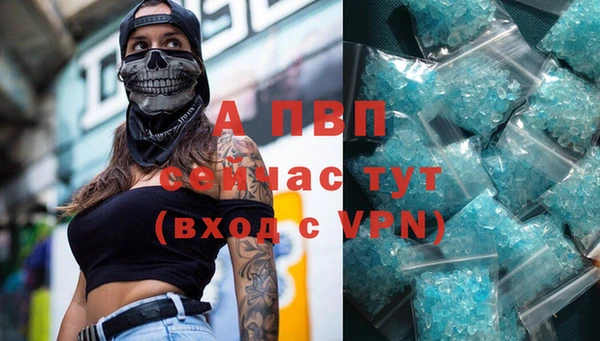 PSILOCYBIN Нефтегорск
