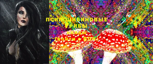 PSILOCYBIN Нефтегорск
