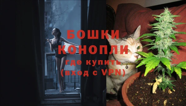 PSILOCYBIN Нефтегорск