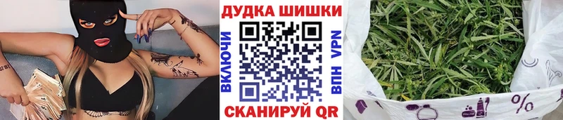 Купить закладки  Злынка  Конопля Ganja 